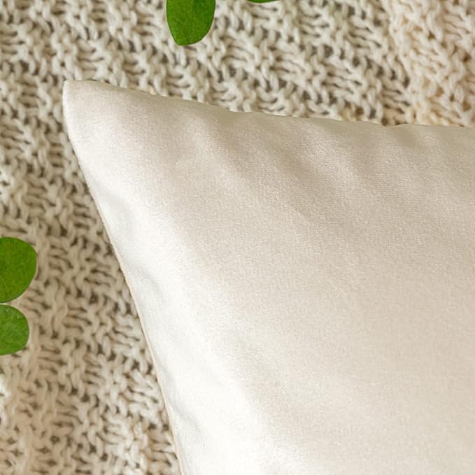 EMEMA Pack of 2 Velvet Throw Pillow Covers Decorative Square Pillowcase Soft Solid Cushion Case for Sofa Bedroom Chair Car 24x24 Inch Cream White