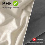PHF Truly Velvet Pillowcases Standard Size, No Insert, 2 Pack Ultra Soft Breathable Pillow Shams Covers with Envelope Closure, 20" X 26" Luxury Cozy Warm Fuzzy Flannel Pillow Cases, Sand