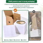 5 Inch Ceramic Plant Pots with Drainage Holes, Small Round Flower Pots for Indoor Plant, Unique Animal Flower Planters (Octopus)