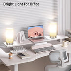 Bedside Table Lamp for Bedroom, 3 Way Dimmable Touch Control Table Lamps for Nightstand, Modern Desk Lamp with Glass Lamp Shape, 2700K 6W Bulb Included(Nickel).