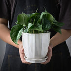 ADN Ceramic Planter, 6 Inch Plant Pots for Plants Modern Decor Indoor Flower Pot with Saucer and Drainage Hole, White