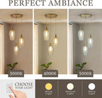 3-Light Pendant Lighting, Modern Brushed Gold Dining Room Chandelier Light Fixture Over Table with Hammered Glass, Brass Cluster Hanging Lights for Kitchen Island Dining Room Bedroom, E26