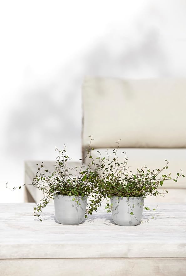 Ecopots Oslo Mini Durable Modern Round Indoor/Outdoor Recycled-Based Composite Flower Pot Planter, White Grey, 4.5"