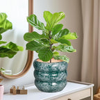 SQOWL 8 Inch Pot for Plants Indoor - Ceramic Planter Medium Plant Pot with Drainage Hole Round Flower Pot Outdoor Mid-Century Planter for Entry Way Table Home Decor Green