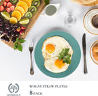 Homienly Wheat Straw Dinner Plates Set of 8, 10 Inch, Microwave and Dishwasher Safe, Unbreakable Kids Plates, 4 Colors (Multi), MS 01