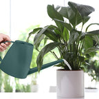 Plastic Watering Can - for Indoor and Outdoor House Plant Garden - with Long Spout - 1/2 Gallon - Blackish Green