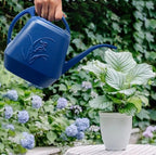 Watering Can for Home Garden - Blue - 1/2 Gallon