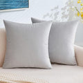 EMEMA Pack of 2 Velvet Pillow Covers Decorative Square Pillowcase Soft Solid Cushion Case for Sofa Bedroom Car 20x20 Inch Greyish White