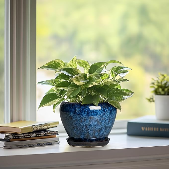 6 Inch Plant Pot - Ceramic Pots for Plants with Drainage Hole and Saucer, Round Succulent Planter Indoor Outdoor, Modern Flower Pot for Snake Plants, Home Decor, Gifts for Plant Lover, Blue