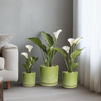 8 Inch Plant Pots - Ceramic Planter for Indoor Plants Outdoor, Round Ceramic Flower Pots with Drainage Hole and Saucer, Boho Decorative Planter, Home Bedroom Decor, Birthday Gifts, Green