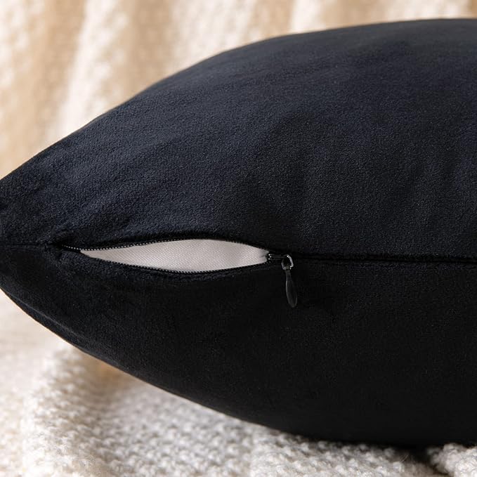 EMEMA Pack of 2 Velvet Pillow Covers Decorative Square Pillowcase Soft Solid Cushion Case for Sofa Bedroom Car 16x16 Inch Black