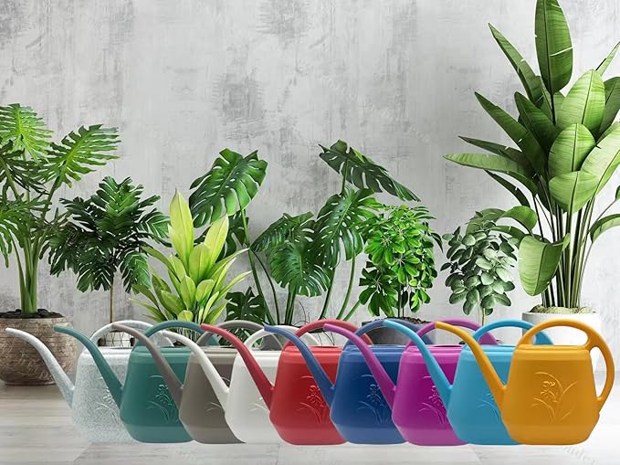Plant Watering Can - Plastic for Indoor and Outdoor Home Plant - 1/2 Gallon - Rose Red