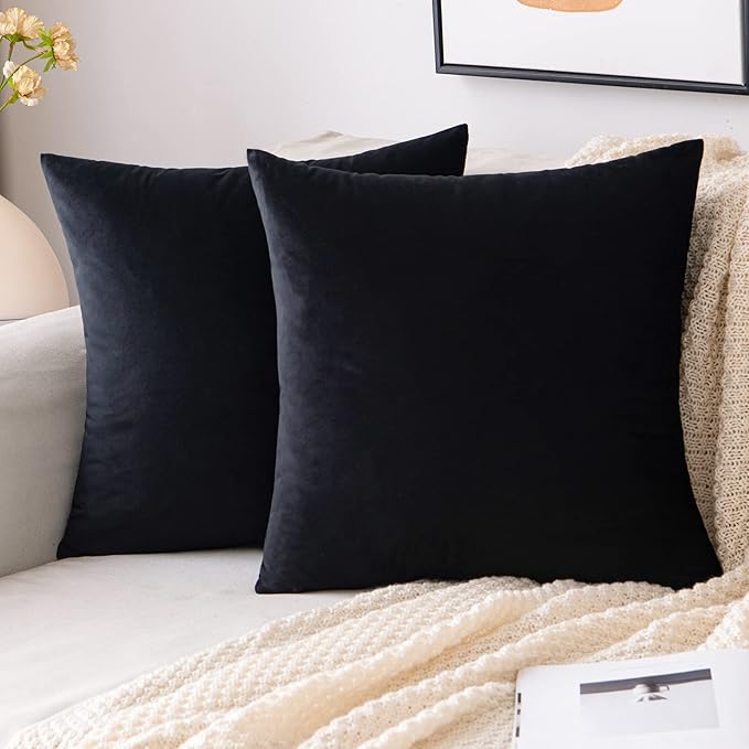 EMEMA Pack of 2 Velvet Throw Pillow Covers Decorative Square Pillowcase Soft Solid Cushion Case for Sofa Bedroom Chair Car 20x20 Inch Black