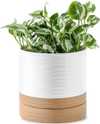 6 Inch Ceramic Planter Pot with Drainage Hole and Saucer,Round Flower Plant Pot for Indoor Outdoor,Porcelain Garden Pots for Farmhouse Decorative with Deep Reservoir,White