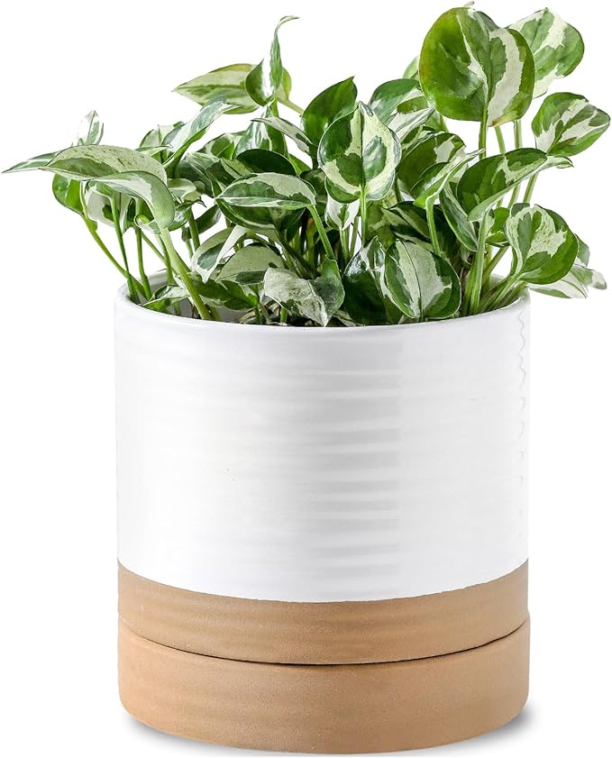 6 Inch Ceramic Planter Pot with Drainage Hole and Saucer,Round Flower Plant Pot for Indoor Outdoor,Porcelain Garden Pots for Farmhouse Decorative with Deep Reservoir,White