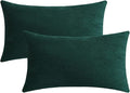 Jeneoo Decorative Hunter Green Throw Pillow Covers Soft Rectange Chenille Comfy Cushion Couch Cases for Home Sofa Decor (Set of 2, 12 x 20 Inches)