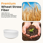 Homienly Wheat Straw Plates, 8 Inch Dessert Plates Set of 8, Unbreakable White Round Plate - Alternative to Plastic Plates, Lightweight Microwave and Dishwasher Safe Plate Set for Camping - White