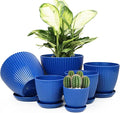 6pcs Plastic Flower Pots, 7.5/6.6/5.8/5.0/4.3/3.5 inches, Indoor/Outdoor Home Decoration, Thick and Durable, with Drainage Holes and Trays