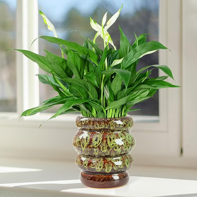 Ceramic 5 inch Plant Pot - Planter for Indoor Plants with Drainage Hole, Flower Pots for Orchid, Succulent,Outdoor Plants, Modern Glaze Planters for Home Office Decor Gift