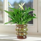 Ceramic 5 inch Plant Pot - Planter for Indoor Plants with Drainage Hole, Flower Pots for Orchid, Succulent,Outdoor Plants, Modern Glaze Planters for Home Office Decor Gift