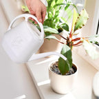 Plastic Watering Can - for Indoor and Outdoor Plant - 1 Gallon - White