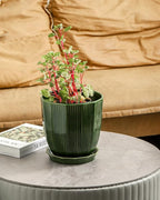 ADN Ceramic Planter - Large Plant Pot Geometric Design Flower Pot with Drainage Hole and Saucer for Outdoor Indoor Plants (Green, 8 in)