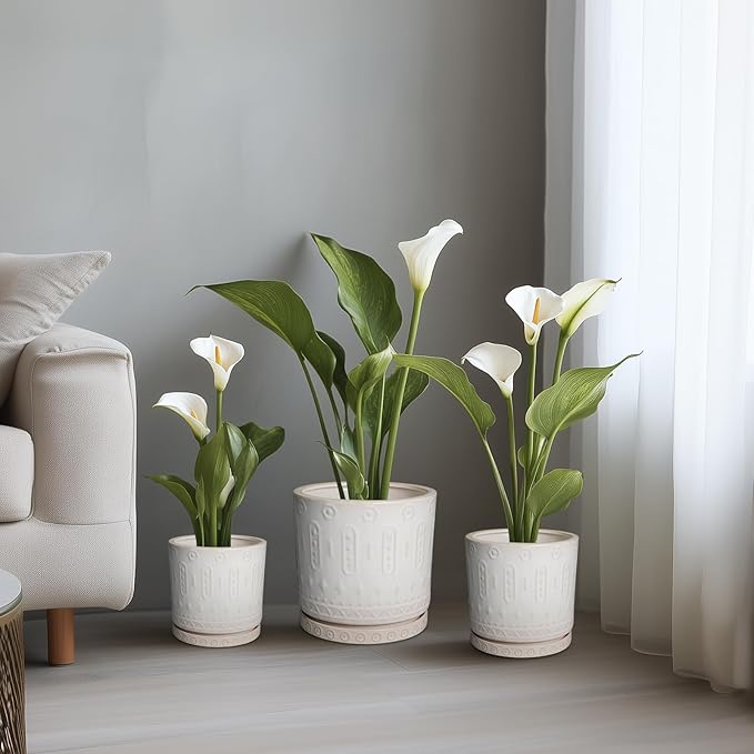 Pot for Plants 6 Inch - Ceramic Planter for Indoor Plants Decorative Plant Pot with Drainage Holes and Saucer Outdoor Flower Pot Modern Succulent Pots for Office Desk Decor White