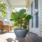Ceramic Planter - 13 Inch Planter for Indoor Plants Large Plant Pot with Drainage Hole and Saucer Round Outdoor Planter Modern Flower Pot for Home Decor Gray