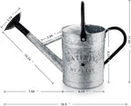 Galvanized Watering Can for Outdoor Indoor Plants, 1 Gallon Decorative Countryside Style Water Can with Removable Spout, Perfect Metal Watering Can for Indoor Plants and Garden Flower
