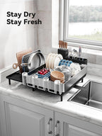 SUNLY Large Dish Drying Rack, Expandable Dish Racks for Kitchen Counter, Space Saving 304 Stainless Steel Drying Rack Kitchen, Extra Large Drainer with Multifunctional Flip Up Pegs, Black
