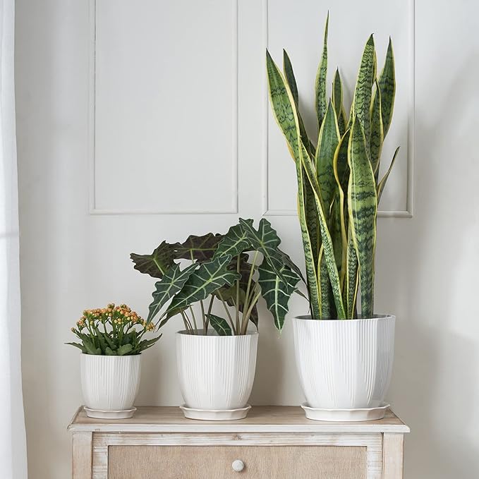 ADN Ceramic Planter, 6 Inch Plant Pots for Plants Modern Decor Indoor Flower Pot with Saucer and Drainage Hole, White