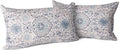 Snycler Boho Throw Pillow Covers 12x20 inch Set of 2 Terracotta Rust Blue Colored Throw Pillows Double Sided Boho Home Soft Decor for Bedroom Living Room Couch & Sofa (No Inserts)