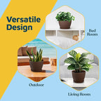 Brown 6-Inch Plant Pots with Drainage & Saucers 6 Pack, Indoor & Outdoor Planters for Houseplants, Herbs, and Flowers, Durable & Weatherproof Material, Stackable, Lightweight, Minimalist Design