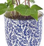 CHIVE ‘Liberte’ Ceramic Succulent Pots — 4.25” Cute Vintage Farmhouse Style Planters for Indoor Plants — Beautiful Home & Kitchen Decor — Blue Leaves