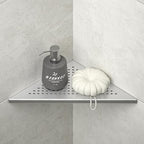 Corner Shower Shelf 2 Pack, 304 Stainless Steel Grout in Shelves for Bathroom, 10'' Recessed Shelf Rack for Tiled Wall, No Drilling Needed (10'', Silver)