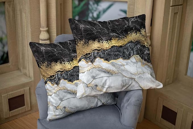 CAPSCEOLL Black Gold and White Grey Art Artwork Contemporary Decorative Gray Home Decorative Throw Pillow Covers Cushion Covers for Bedroom Sofa Living Room 18X18 Inches Set of 2