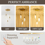 3-Light Pendant Lighting, Modern Brushed Gold Dining Room Chandelier Light Fixture Over Table with Hammered Glass, Brass Cluster Hanging Lights for Kitchen Island Dining Room Bedroom, E26