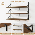 Fun Memories Floating Bookshelves, Set of 3 Wall-Mounted Wood Shelves 24" W x 8" D, Decorative Wall Shelf for Living Room, Bedroom, Bathroom, and Laundry Room (Walnut)