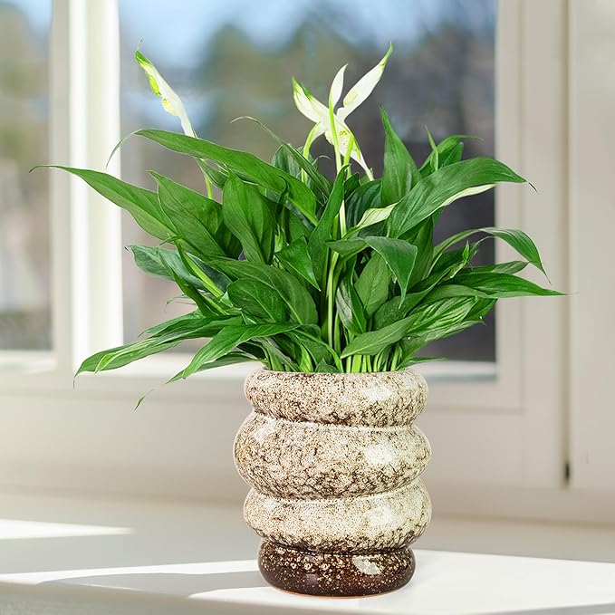 Ceramic 5 inch Plant Pot - Planter for Indoor Plants with Drainage Hole, Flower Pots for Orchid, Succulent,Outdoor Plants, Modern Glaze Planters for Home Office Decor Gift