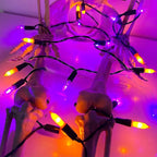 WATERGLIDE 50 LED Outdoor Halloween Lights, 16 FT Mini String Light with 8 Modes, Waterproof Battery Operated Tree Lights for Indoor Outdoor Patio Garden Party Wedding Decoration, Orange & Purple