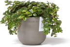Ecopots Oslo Mini Durable Modern Round Indoor/Outdoor Recycled-Based Composite Flower Pot Planter, Taupe, 4.5"