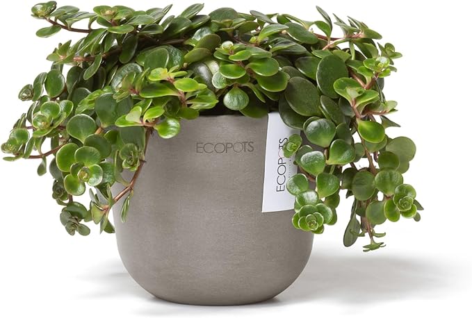 Ecopots Oslo Mini Durable Modern Round Indoor/Outdoor Recycled-Based Composite Flower Pot Planter, Taupe, 4.5"