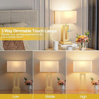 Bedroom Table Lamps Set of 2 - Touch Bedside Lamps with USB C+A, 3 Way Dimmable Gold Lamp for Nightstand, Modern Night Stands Lamps for Living Room End Tables Desk Bed Side Study Room(16.4n)