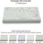 PHF Truly Velvet Zippered Body Pillowcase, No Insert, 1 Pack Ultra Soft Breathable Pillow Sham Cover with Zipper, 20"X 54" Long Luxury Cozy Warm Fuzzy Flannel, Silver Grey