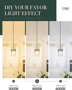 LMS Brushed Nickel Pendant Lights Kitchen Island 2 Pack, Modern Glass Pendant Light Fixtures with Hammered Glass, Adjustable Mini Hanging Light for Kitchen Island Sink Bathroom, LMS-171BN2