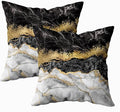 CAPSCEOLL Black Gold and White Grey Art Artwork Contemporary Decorative Gray Home Decorative Throw Pillow Covers Cushion Covers for Bedroom Sofa Living Room 16X16 Inches Set of 2