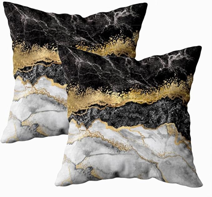 CAPSCEOLL Black Gold and White Grey Art Artwork Contemporary Decorative Gray Home Decorative Throw Pillow Covers Cushion Covers for Bedroom Sofa Living Room 20X20 Inches Set of 2