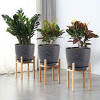 WOUSIWER Plant Pots 10/9/8 inch, Set of 3 Modern Decorative Plastic Planters with Drainage Holes and Saucers for House Plants Indoor Flowers Plants, Black with White Speckles