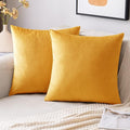 EMEMA Fall Gold Velvet Throw Pillow Covers 18x18 Inch Set of 2 Decorative Square Pillowcase Soft Solid Cushion Case for Couch Sofa Bed Bedroom Livingroom