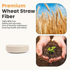 Homienly Small Plates Set of 8, Wheat Straw Plates, 5.7 Inch Lightweight Unbreakable MIni Dessert Plate, Microwave and Dishwasher Safe Small Plate Set - Beige